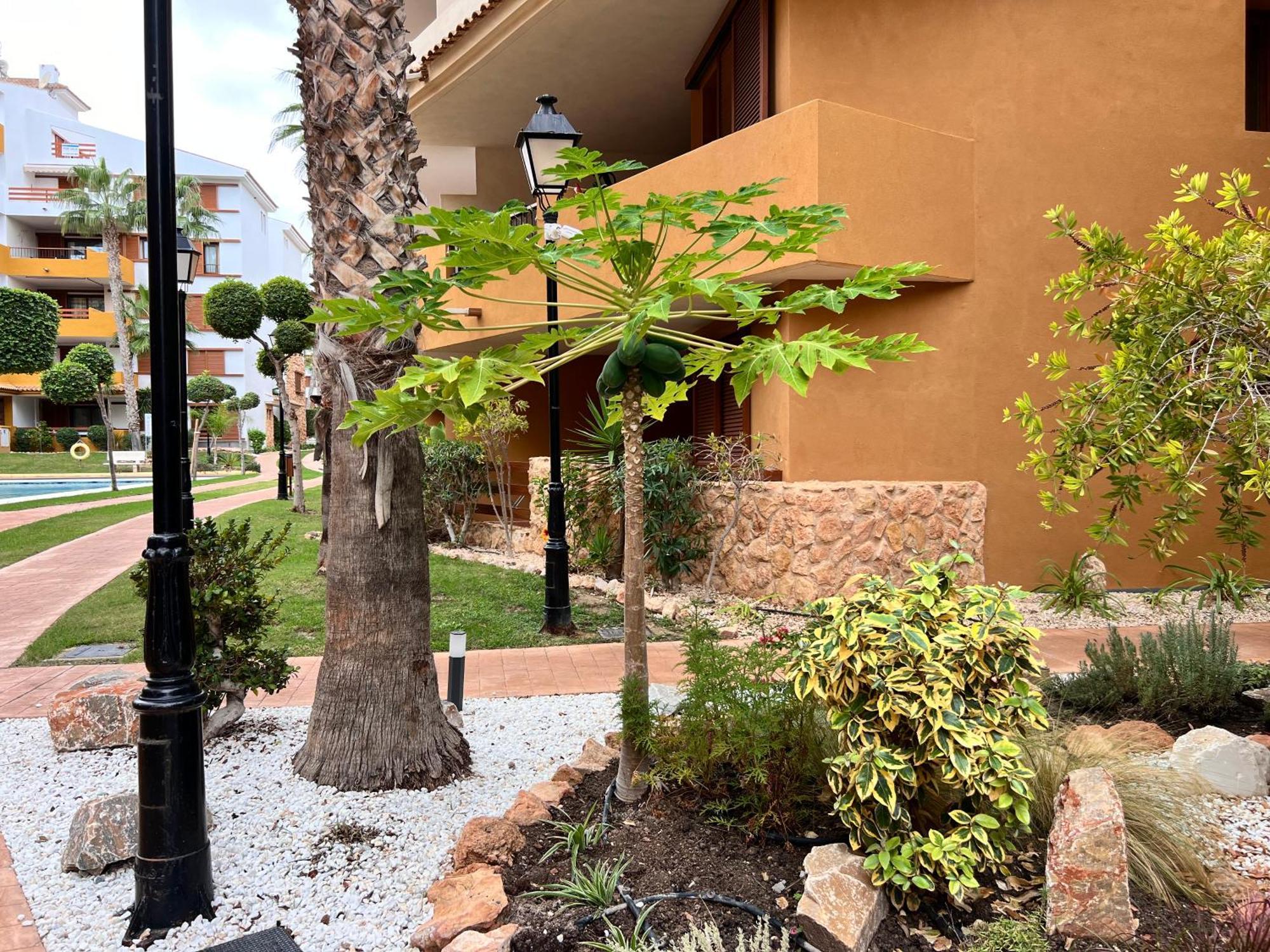 Punta Prima - Sun & Beach & Golf & Bike - Spanish South-Facing Terrace Apartment - La Recoleta - By The Sea Torrevieja Kültér fotó